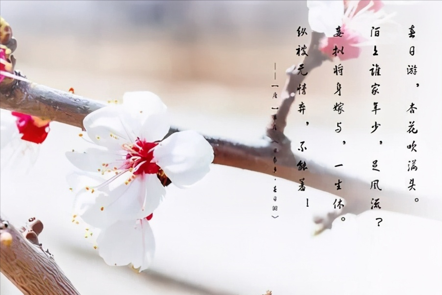 晚唐五代词的末世情绪：醇酒妇人醉生梦死-第1张图片-非凡网