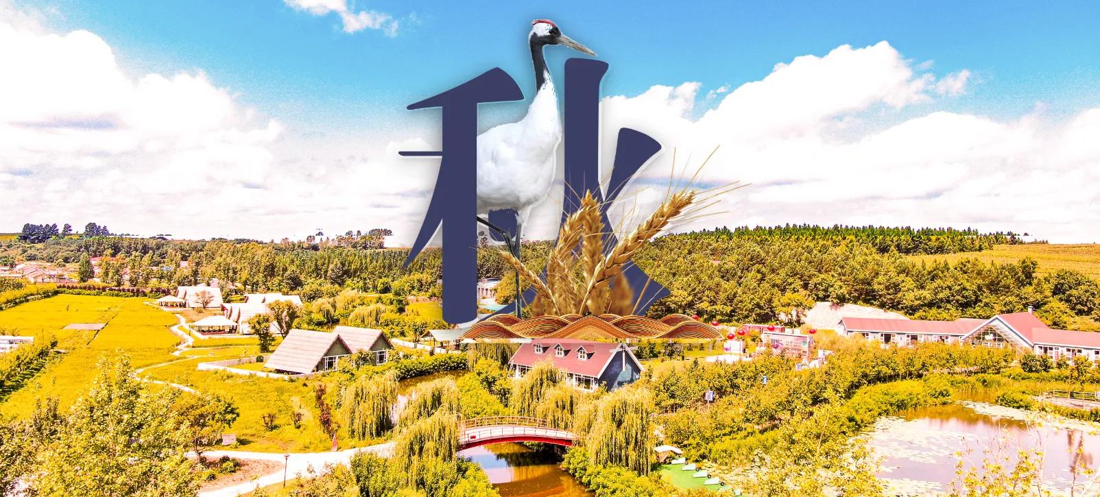 一个营地综合体的探索：乡村旅游与产业深度融合