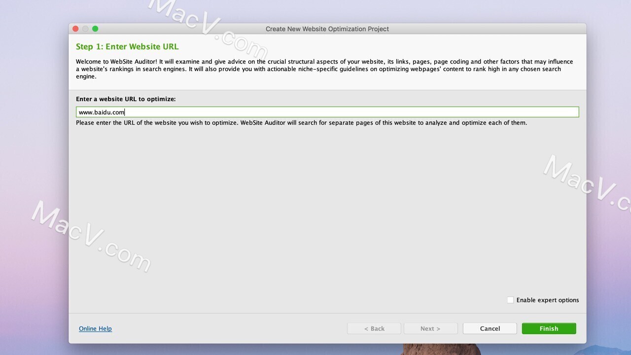 Link-Assistant WebSite Auditor Enterprise for Mac網(wǎng)站優(yōu)化分析軟件