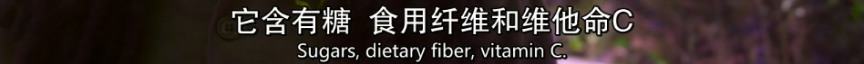 一集被骂烂，我替大神不服