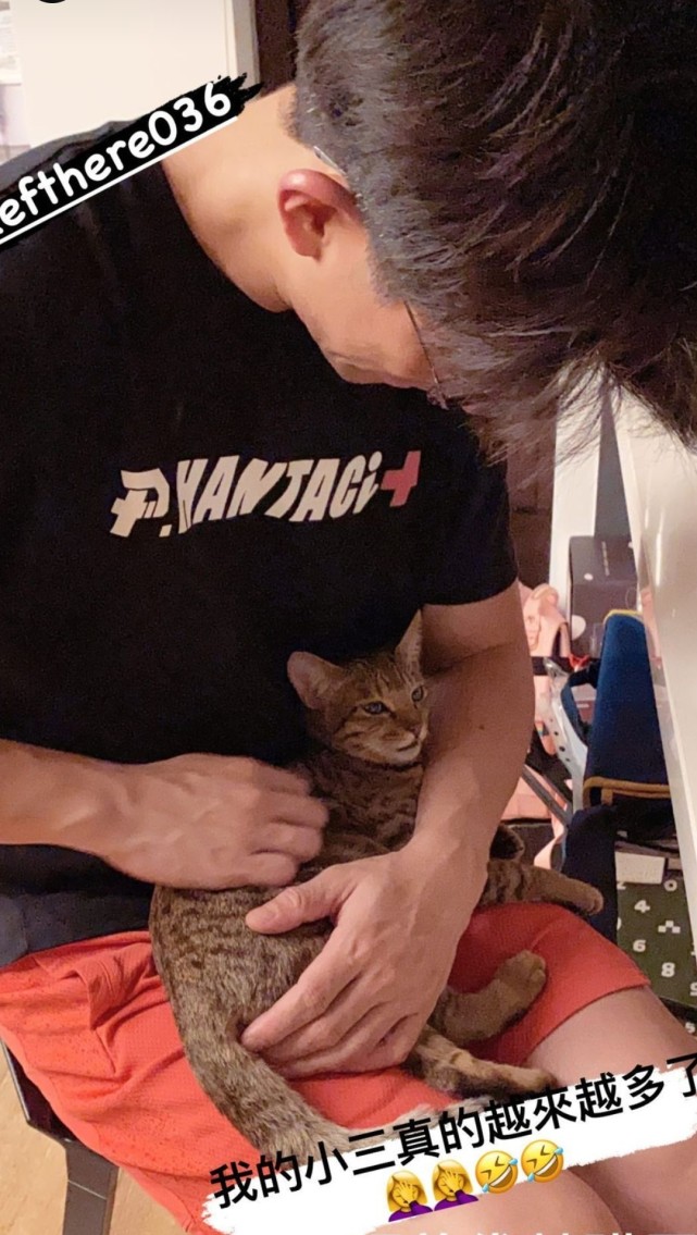 賈靜雯帶娃外出過週末，波妞熊抱羊駝超大膽，門牙脫落笑容很喜感