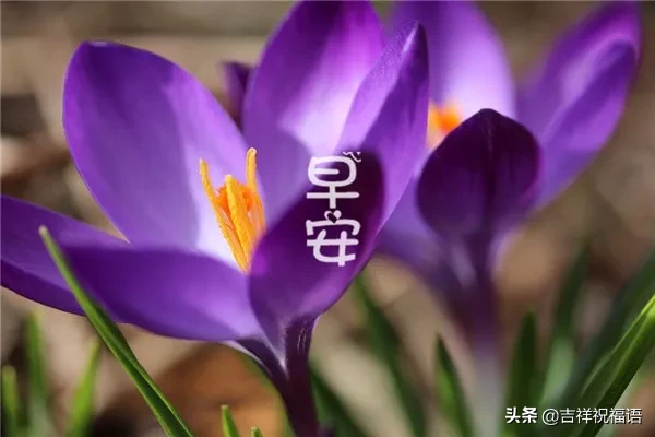 人生的每一笔经历，都在书写你的简历，早安