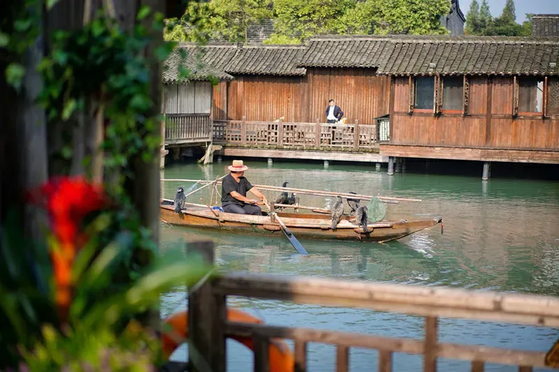 乌镇旅行必看!雷区及游玩全攻略,纯干货旅游不心累