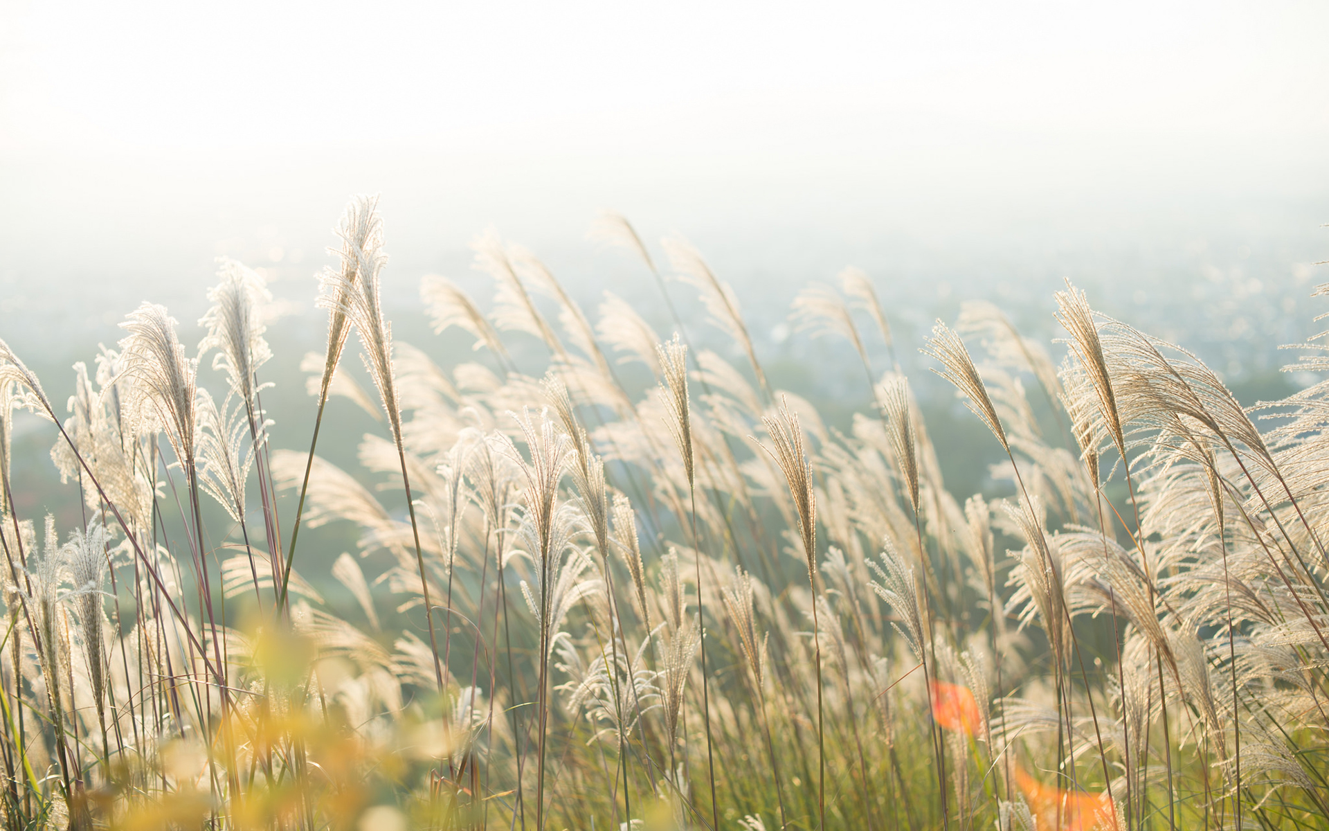 判断一个男人是否真心，不要看他“低成本”的付出