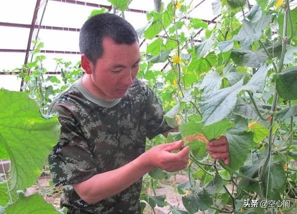 非洲人吃不饱饭埋怨土地差，看到中国维和士兵