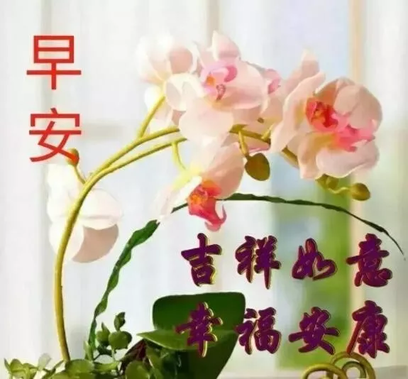 2021最美早上好问候语短信祝福带图片 朋友圈新版早晨好动态图片图片