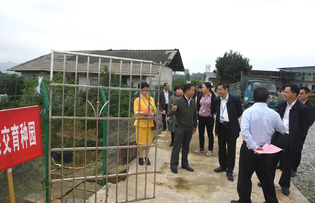 推动适度规模经营提升发展能力水平省市人大代表专题视察全市农民专业合作社建设