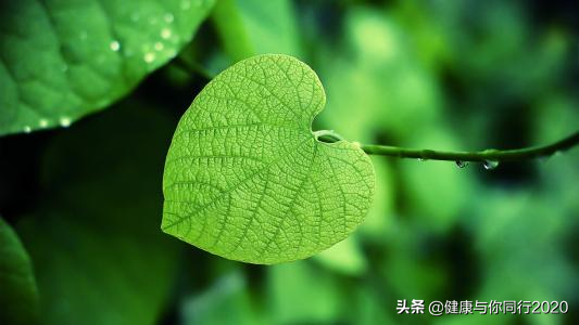 眼睛越来越花，怎么办？