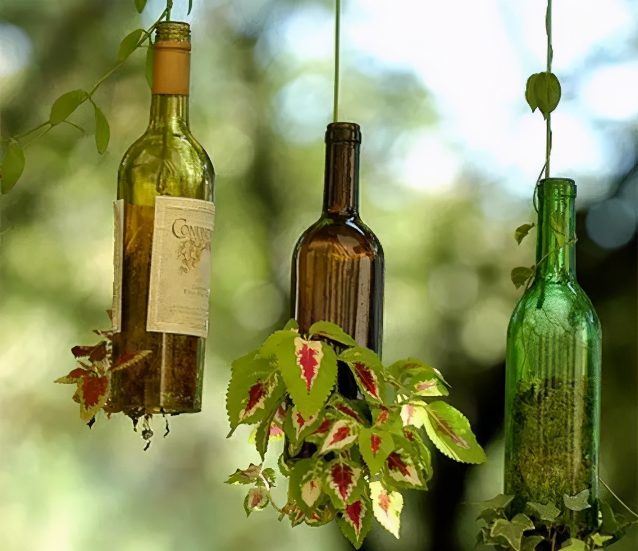 低成本打造高颜值农庄景观