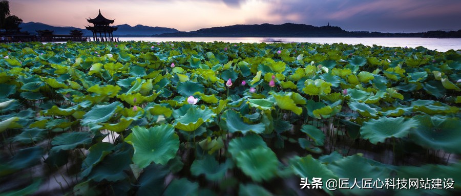 网页设计与网站开发有本质区别两者不可混为一谈