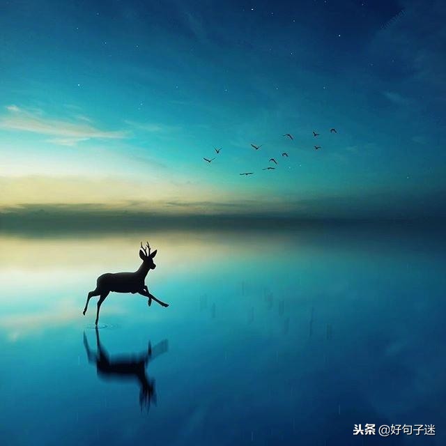 很火很赞的心灵鸡汤，经典有哲理，静下心来看看！-第1张图片-非凡网