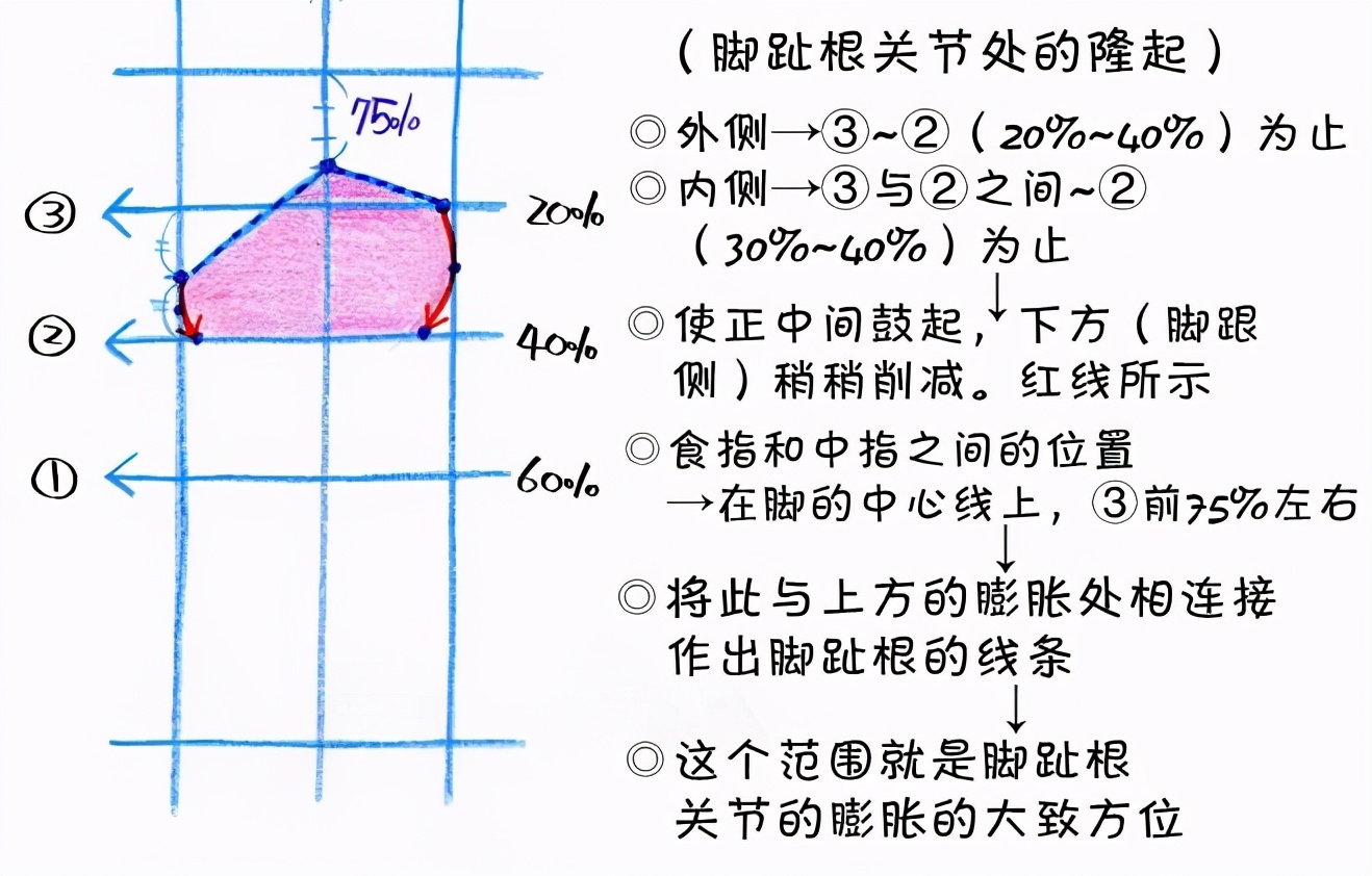 新手画脚难到升天？人物脚部不会画？“正经”脚部画法教程来啦