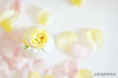 早晨最暖心的问候语 2021年最火的早安句子图片
