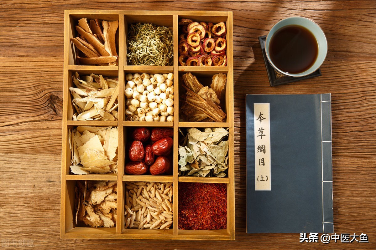 张廷模中药学讲稿 42 利水渗湿药 茯苓 猪苓 泽泻 薏苡仁