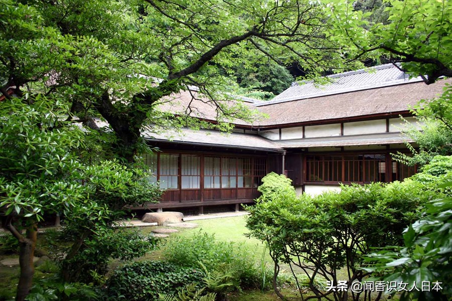橫濱三溪園一代實業家打造的日式庭園 17座建築來自京都和鎌倉 中國熱點