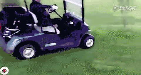 美女，我只猜中开头，没猜中结尾！40幅超爆笑