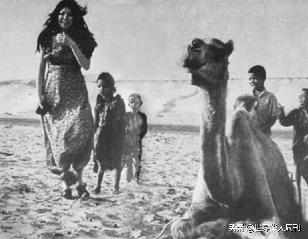 After 3 wool die 30 years, a Spanish cameraman, add was written the story that with a ha plays is spread on the west