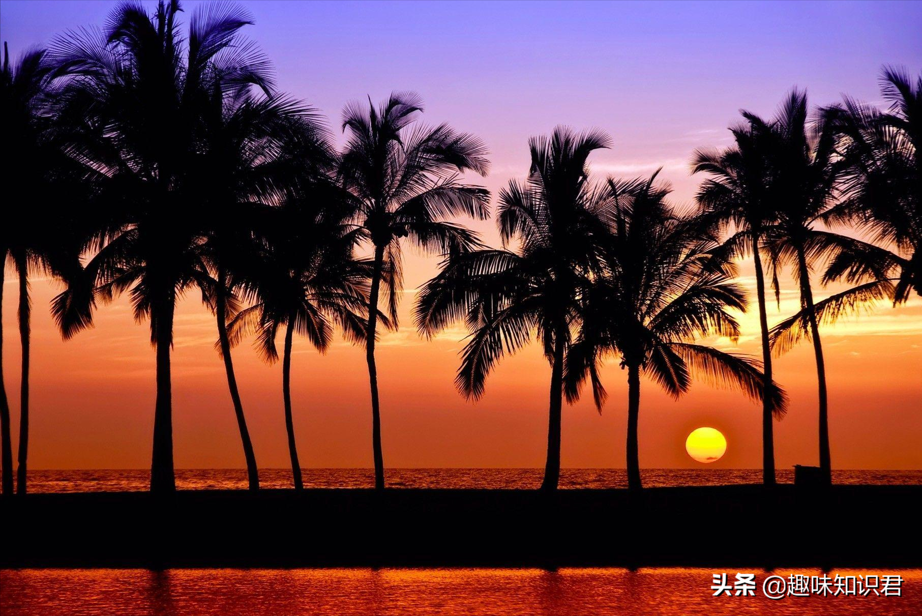 盤點那些有趣的冷星空体育官网入口网站