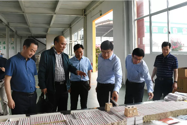 南阳师范学院校领导带队赴南阳医圣祠、月季博览园和药益宝艾草制品有限公司调研