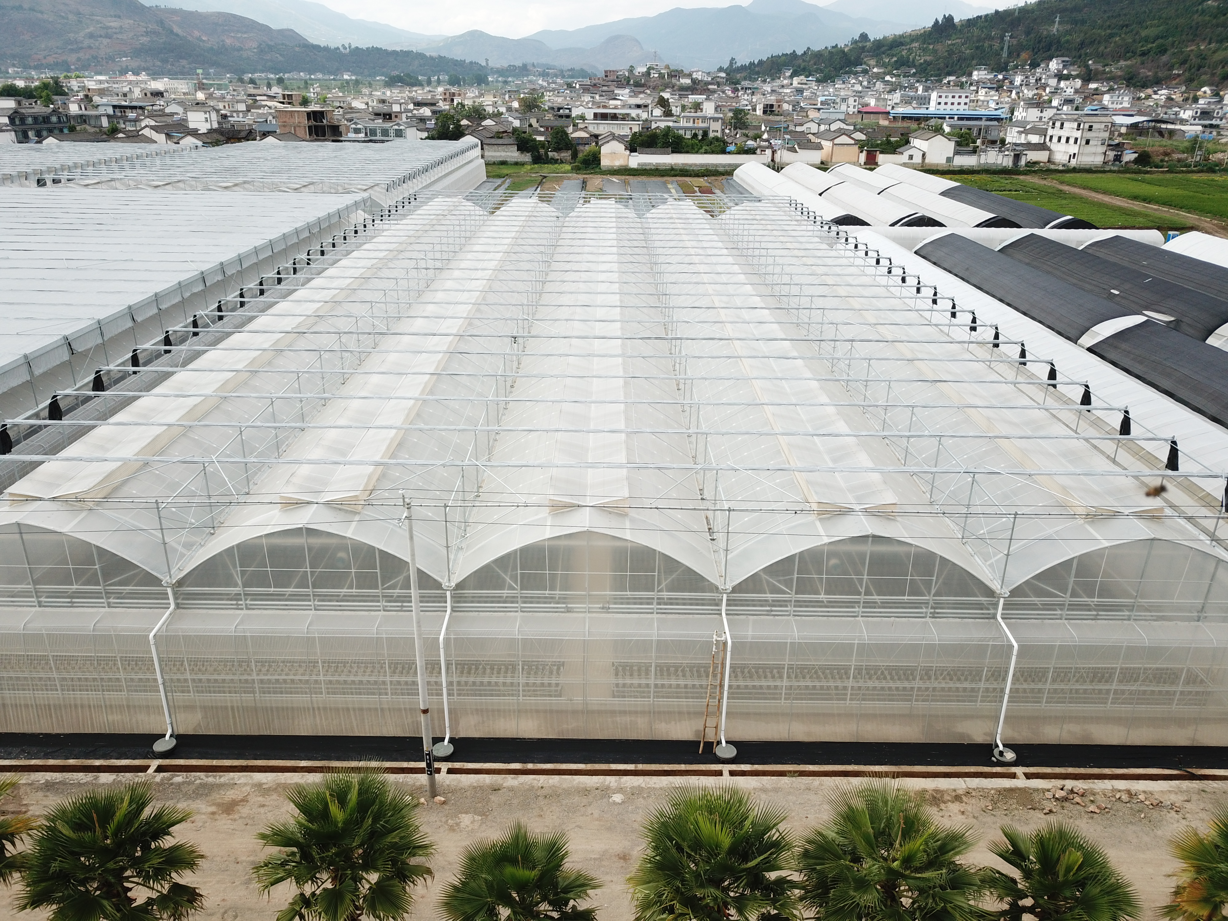 北方地区的薄膜连栋温室如何增强抗雪能力？初始设计很关键