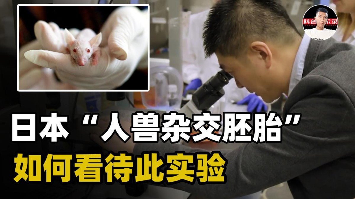 日本“胚胎雜交實(shí)驗(yàn)”是否會違背道德倫理？是創(chuàng)新還是人類災(zāi)難？