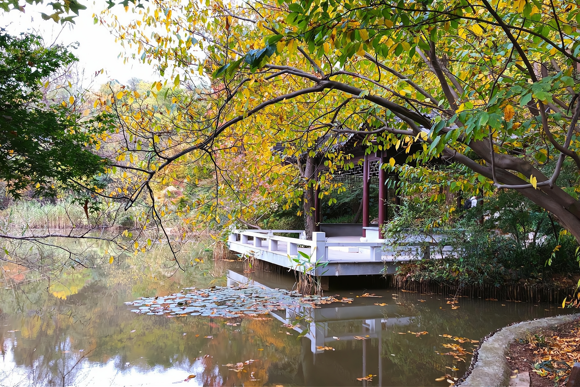 This mountain in Nanjing is the "First Mingxiu Mountain in Jinling" written by Emperor Qianlong. The scenery is more beautiful in autumn