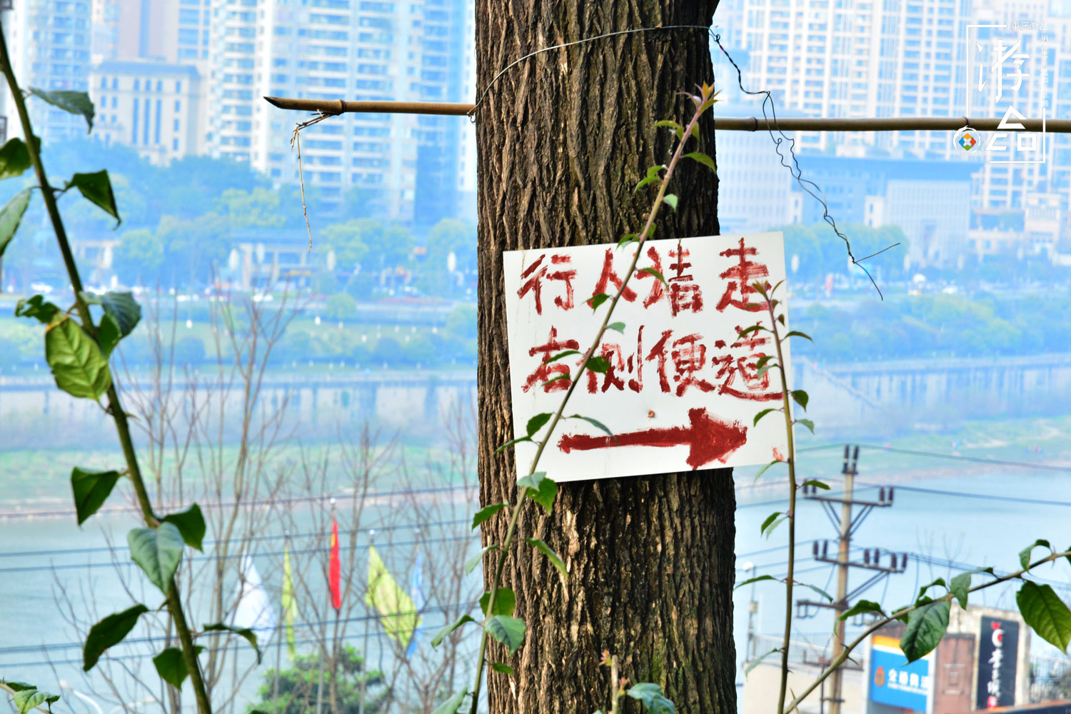 重庆百年古迹被毁，只为建职业教育中心，佛图关再无夜雨寺