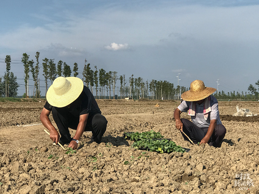 时政新闻眼丨安徽之行，习近平为何先看淮河？