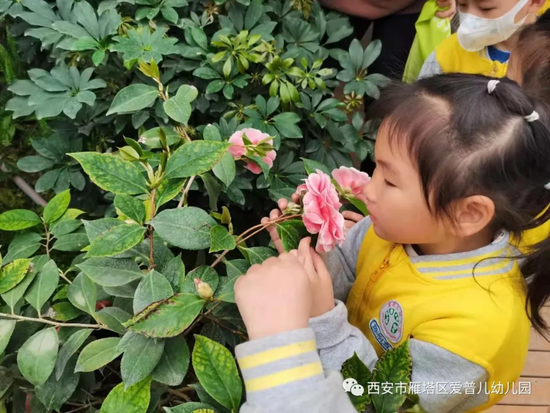 ����عˡ����ն��׶�԰�а�����ѧ��ʵ�߽���δ��