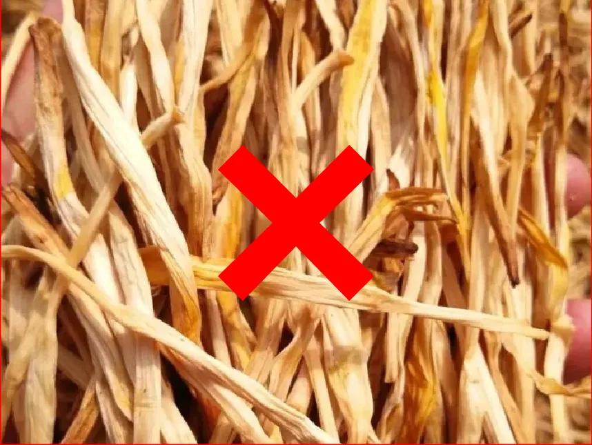 它含18種氨基酸，比肉還鮮！ 小寒後多吃，頭腦聰明，個頭長得快