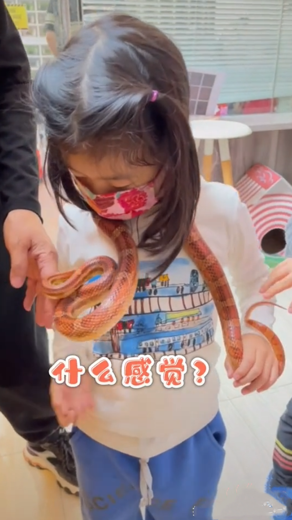 服！ 章子怡5歲女兒接觸冷血動物，醒醒徒手抓蛇摸蜥蜴超淡定
