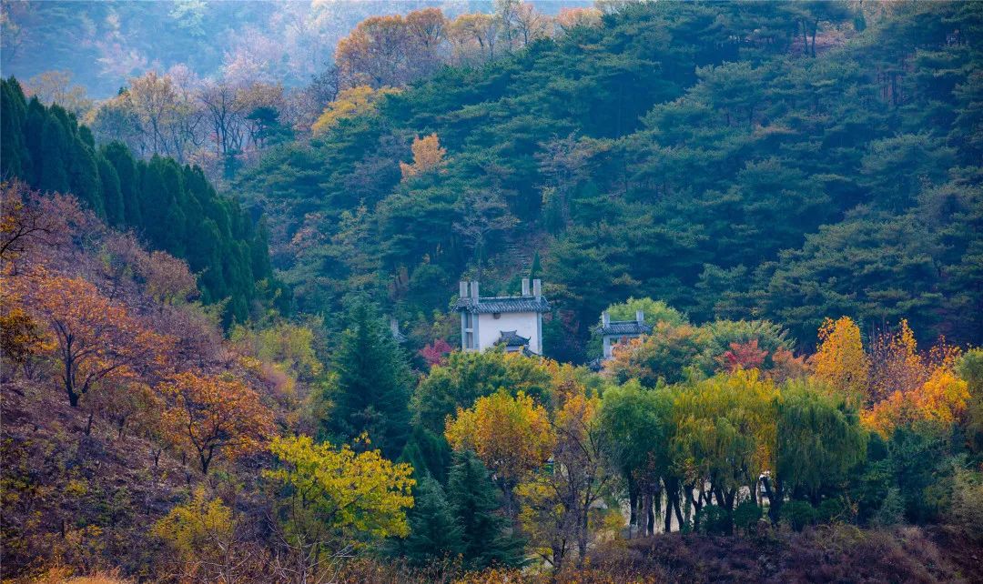 秋末初冬出游，在济南一定不能错过的小众古村，邂逅未经雕琢的美好！