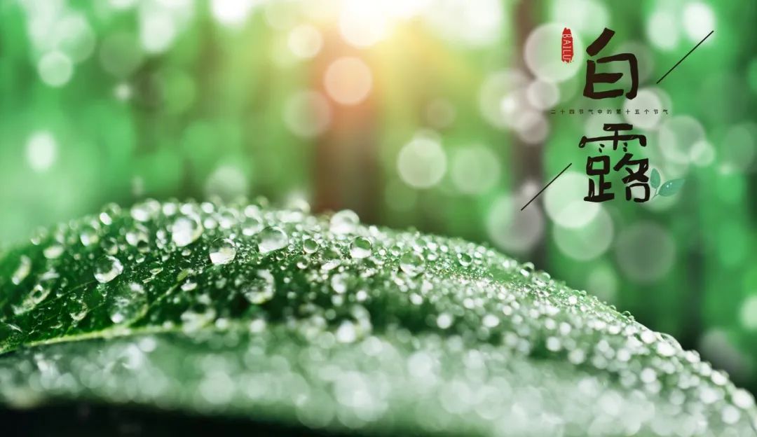 10首最美白露诗词，秋风起，夜微凉，愿君无恙-第8张图片-非凡网
