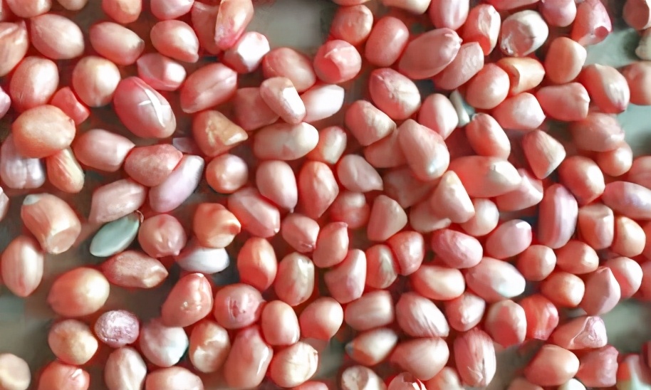 分享5款小吃做法，春節在家小零食都省了，做法簡單，廚房小白篇