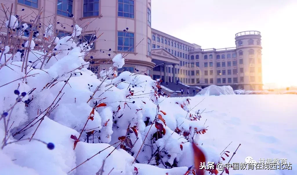 甘肃初雪|甘肃18所高校初学雪景大PK,快来看看有你的母校没?