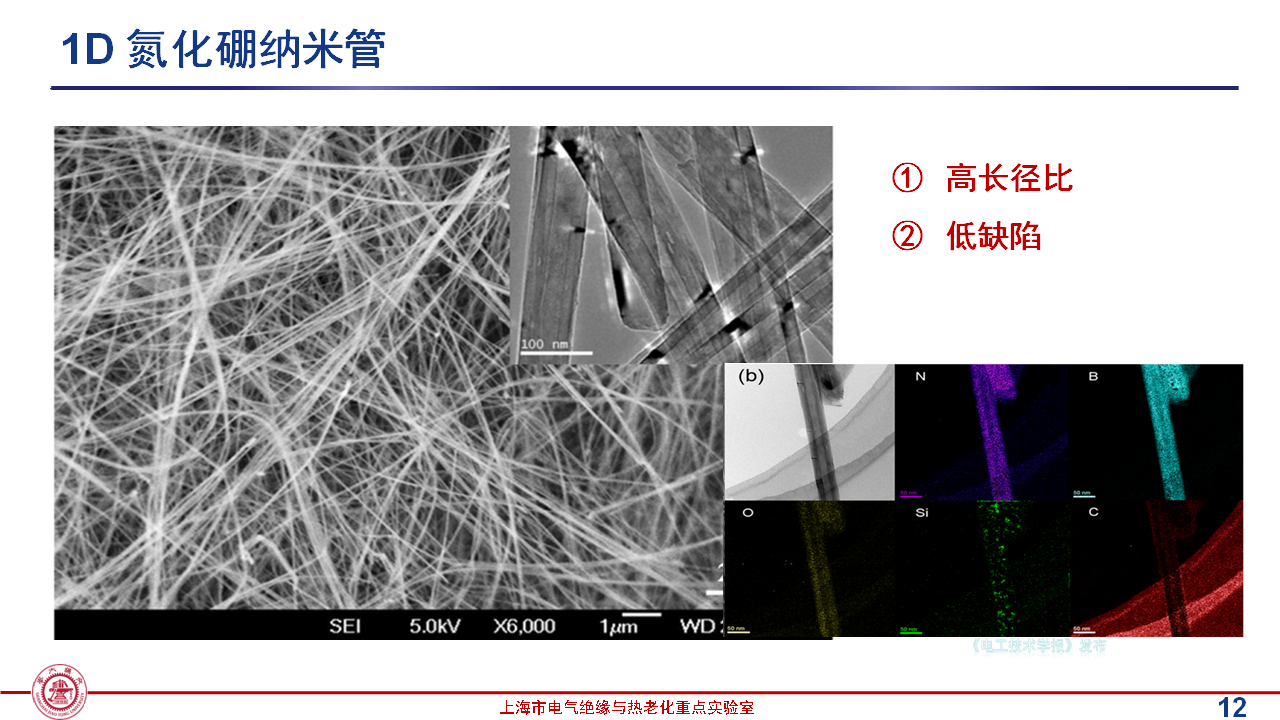 上海交通大學(xué)黃興溢教授：導(dǎo)熱絕緣復(fù)合電介質(zhì)中的界面設(shè)計與實證