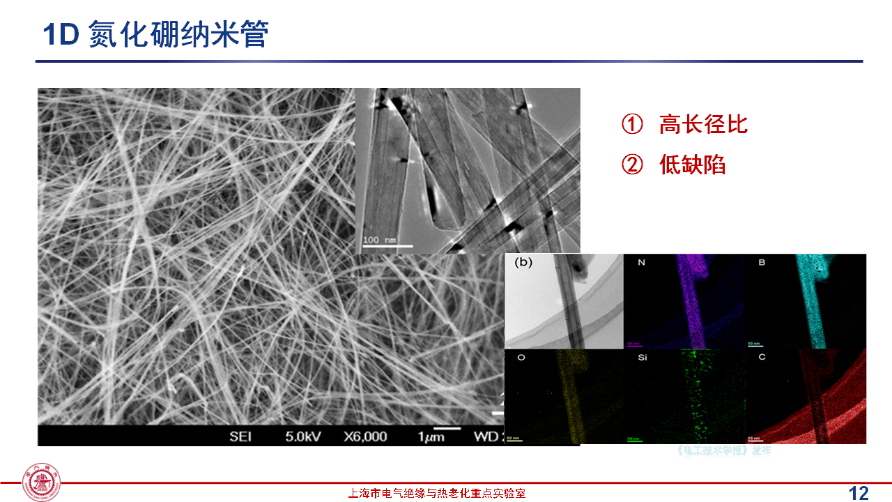 上海交通大学黄兴溢教授：导热绝缘复合电介质中的界面设计与实证