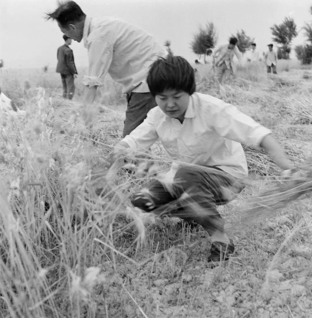 与丈夫分离19年，深居大漠57年  樊锦诗：对敦煌，我尽力了