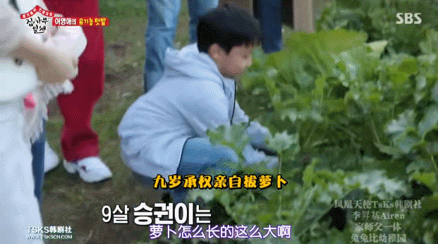 从亚洲最红女星到乡下农妇，49岁的李英爱刷新了