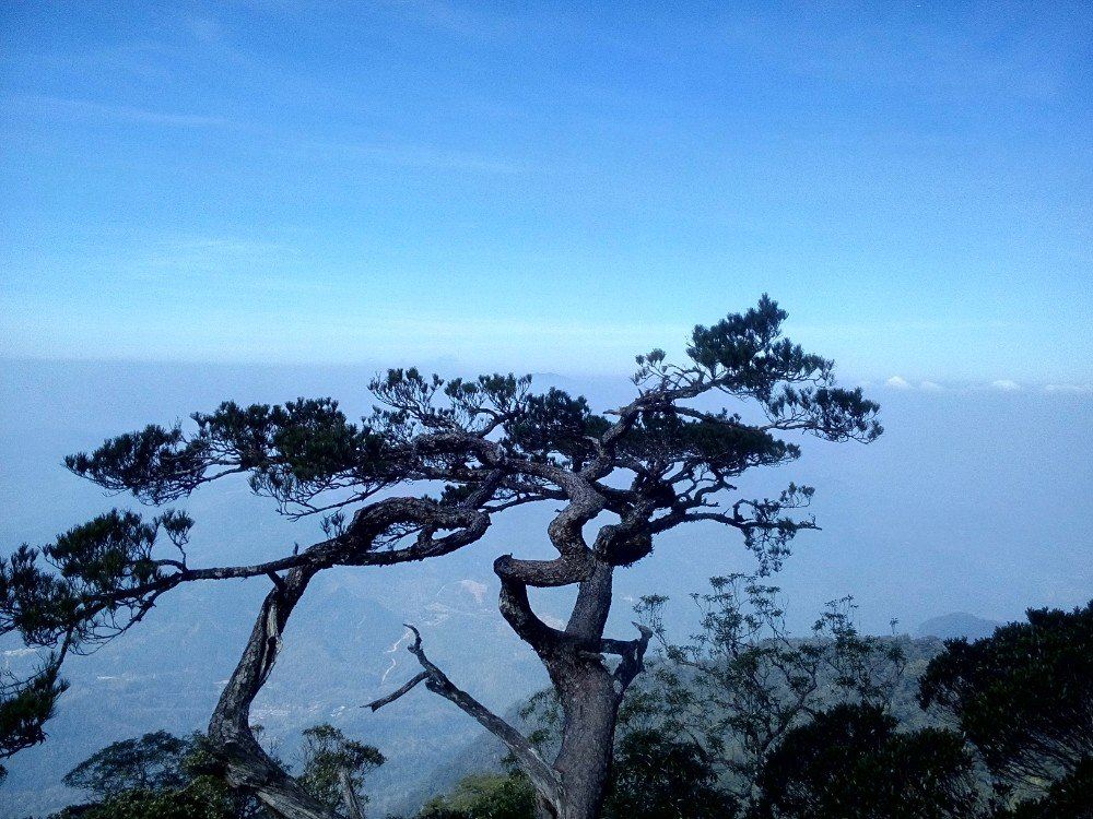 海南省20个最好玩的地方，景区景点图文介绍，山清水秀更怡人