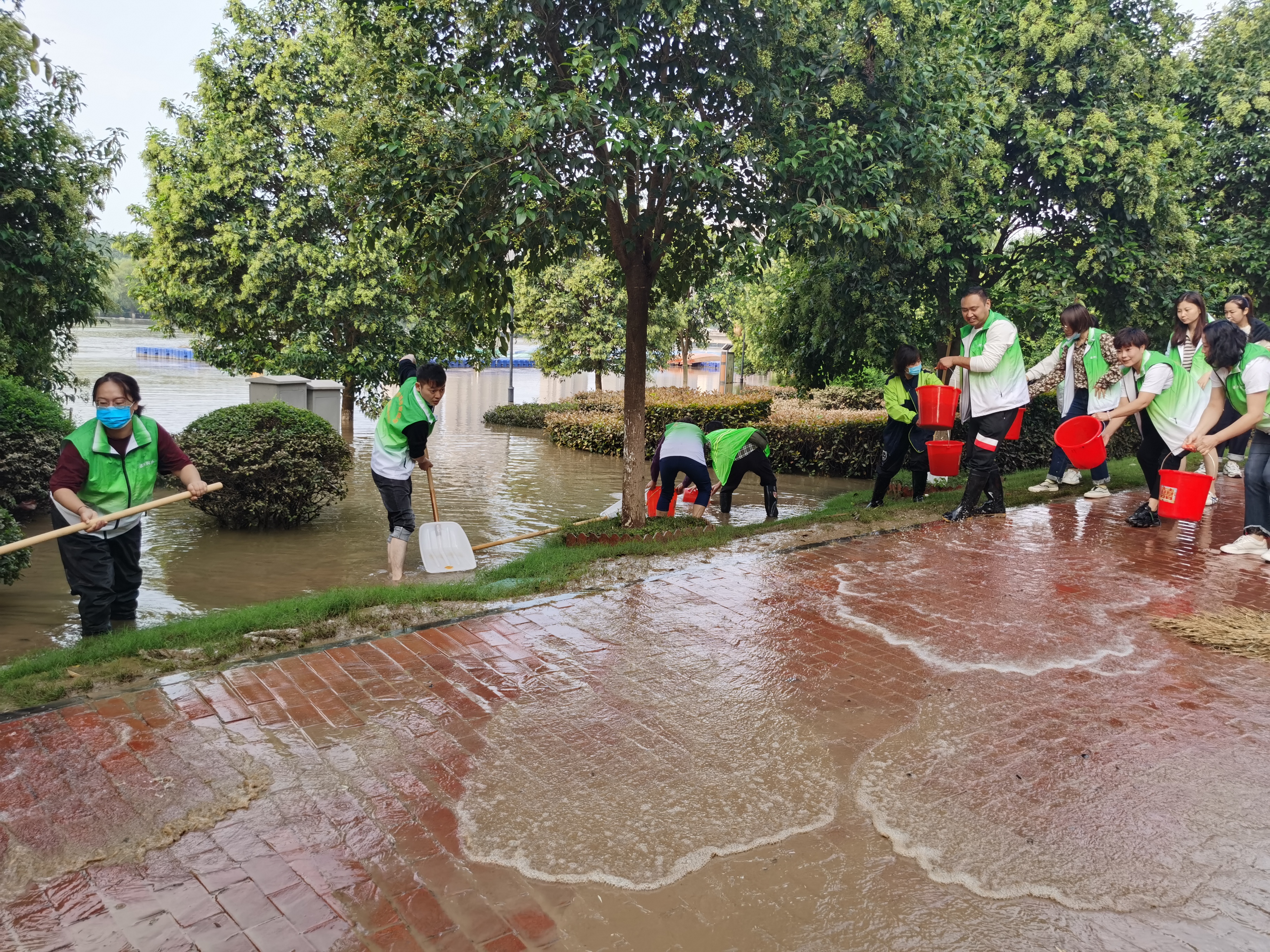 清晨起行动！500余名漯河城管展开清淤