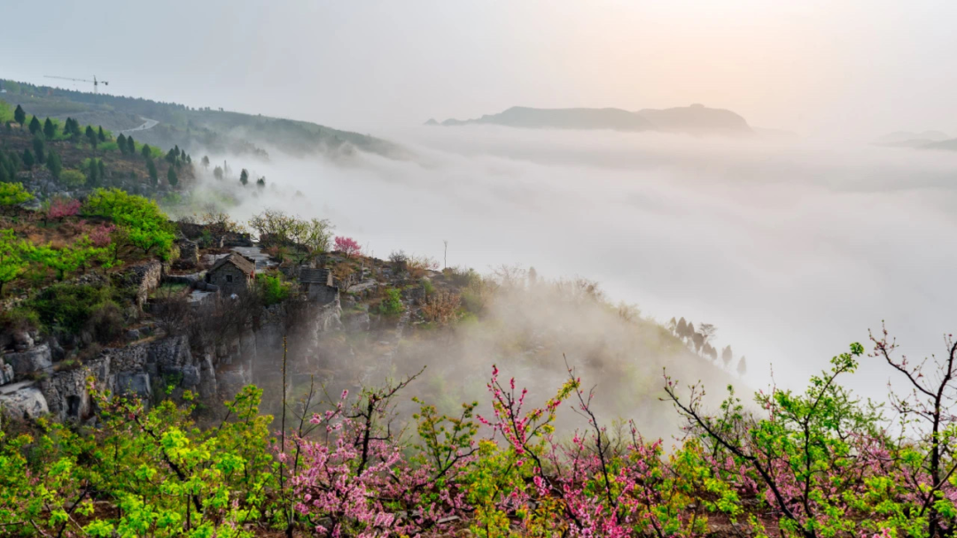 不出远门赏春光 !临沂清明假期精彩文旅活动全指南来啦