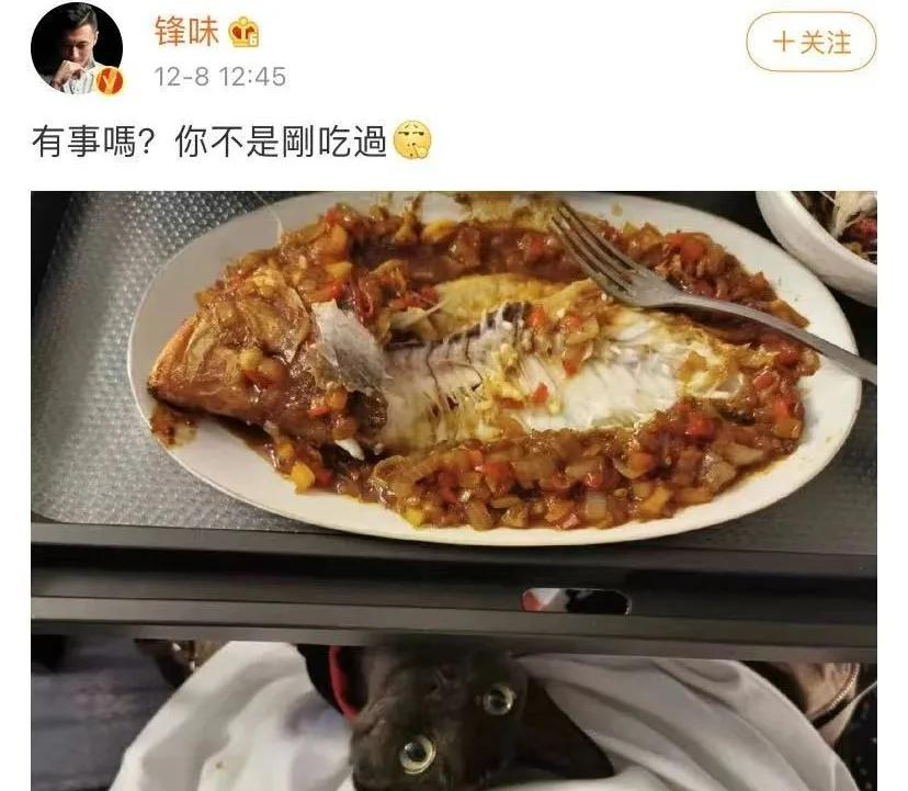 谢霆锋分张柏芝10亿为儿子成立基金？和王菲凉了后他们要复婚？