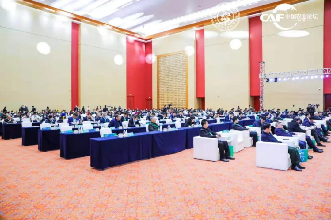 让定心绿茶走出国门，享誉世界