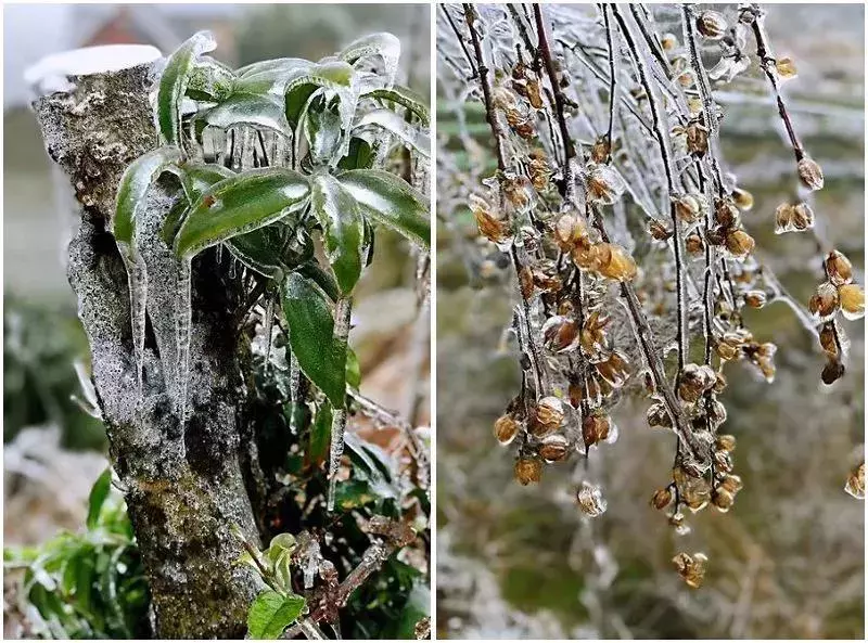 不用去看故宫的雪！钱塘江畔的冰雪霸屏了……美翻了整个江南！