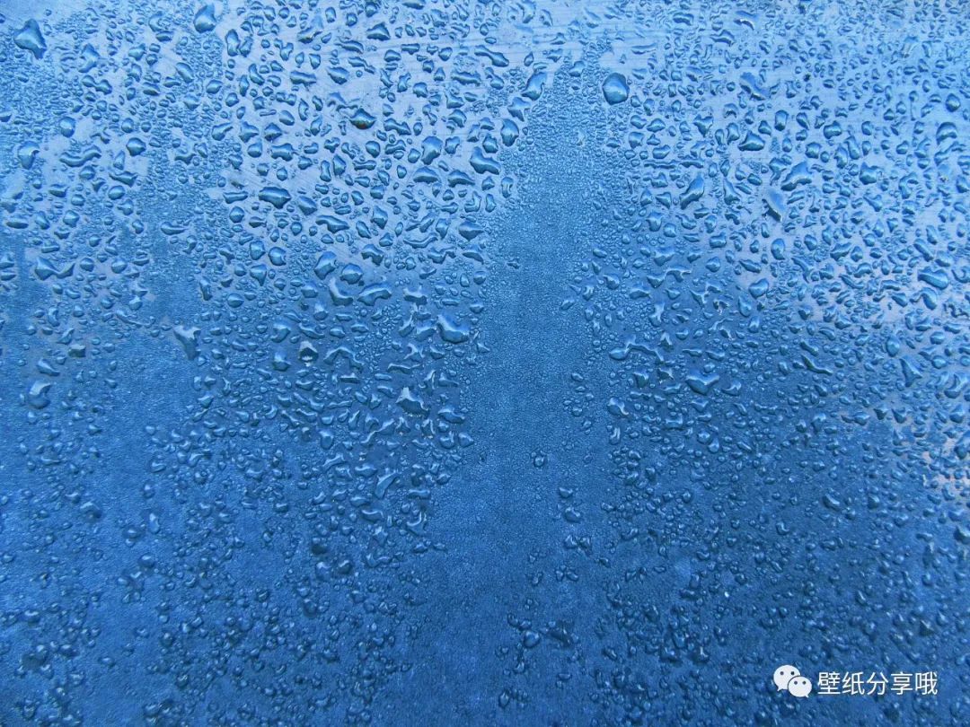 有一种蓝叫做苹果蓝 Iphone12蓝色系壁纸分享 全网搜