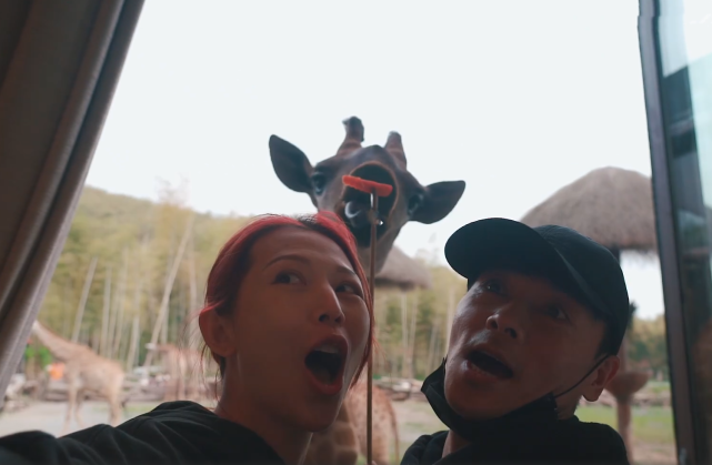 張晉曬一家五口幸福出遊，蔡少芬再現坑娃日常，兒子被嚇到大哭