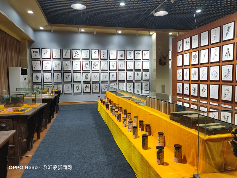沂蒙民间中医药文化馆开馆仪式