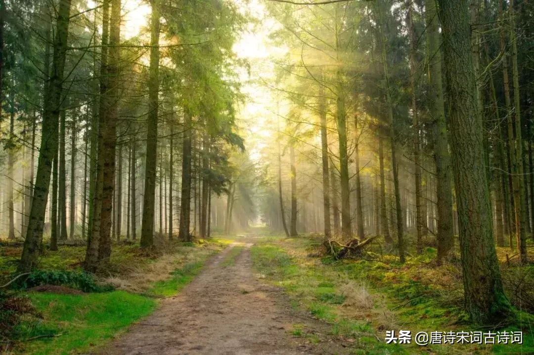 诗人对田园之乐心向往之-第10张图片-非凡网 诗人对田园之乐心向往之-第10张图片-非凡网
