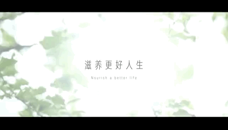美好初见！武夷·栖溪云谷城市展厅华美绽放